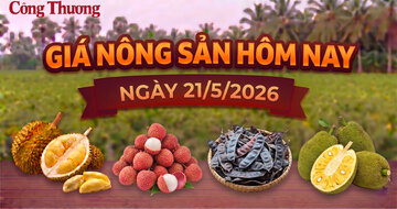 Giá nông sản hôm nay ngày 21/5: Vải trứng Hưng Yên mất mùa