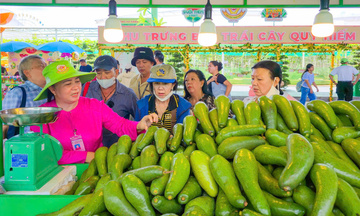 TP. Hồ Chí Minh kích cầu tiêu dùng bằng lễ hội trái cây