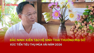 Bắc Ninh: Kiến tạo hệ sinh thái thương mại số xúc tiến tiêu thụ vải thiều