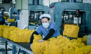 Trung Quốc chiếm hơn 64% thị phần xuất khẩu cao su của Việt Nam