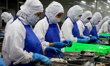 Chủ động cập nhật quy định ghi nhãn trong RCEP, tránh rủi ro xuất khẩu