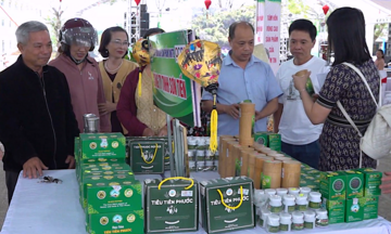 Cấp chứng nhận chỉ dẫn địa lý “Tiên Phước” đối với hạt tiêu Đà Nẵng