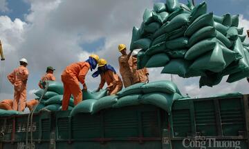 Bộ Công Thương thúc đẩy xuất khẩu gạo theo hướng bền vững