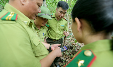 Kiểm lâm Mường Lát ứng dụng công nghệ số giữ màu xanh đại ngàn