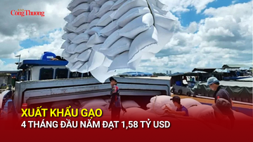 Xuất khẩu gạo 4 tháng đầu năm đạt 1,58 tỷ USD