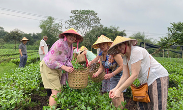 Du lịch xanh: Từ xu hướng thành tiêu chuẩn tăng sức cạnh tranh điểm đến