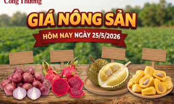 Giá nông sản hôm nay ngày 25/5: Sầu riêng có xu hướng phục hồi