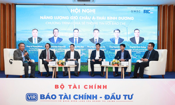 Thúc đẩy hợp tác, mở rộng dư địa phát triển ngành điện gió Việt Nam