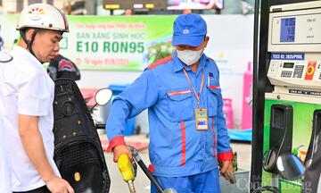 Chủ tịch Hiệp hội Nhiên liệu sinh học: Không tự ý pha phụ gia vào xăng E10