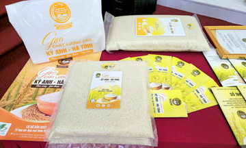 Xây thương hiệu gạo Kỳ Anh, đòn bẩy kinh tế nông thôn Hà Tĩnh