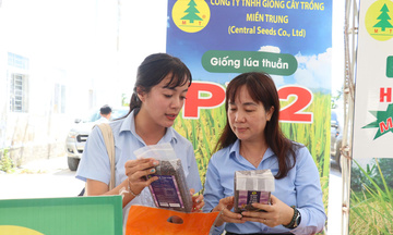 Đà Nẵng: Để hợp tác xã là ‘mắt xích’ trong chuỗi sản xuất lúa giống