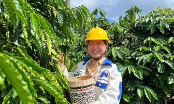 Giá cà phê hôm nay 28/5/2026: Ổn định trên mốc 88.000 đồng/kg