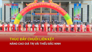 Thúc đẩy chuỗi liên kết, nâng cao giá trị vải thiều Bắc Ninh 