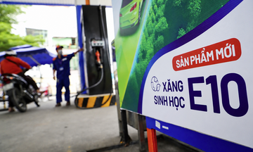Giải mã lo ngại về xăng E10: Luận cứ khoa học và thực tiễn quốc tế