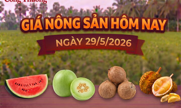 Giá nông sản hôm nay, ngày 28/5: Sầu riêng tăng giá trở lại 