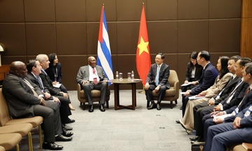 Việt Nam tăng cường kết nối hợp tác với EAEU, Belarus và Cuba