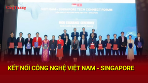Kết nối công nghệ Việt Nam - Singapore