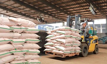 Phân bón hữu cơ Greenma khẳng định vị thế hàng đầu trong cung ứng sản phẩm chất lượng cao