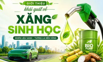 Infographic | Giới thiệu khái quát về xăng sinh học 