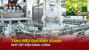 Tăng hiệu quả kinh doanh nhờ tiết kiệm năng lượng