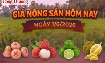 Giá nông sản hôm nay, ngày 1/6: Giá vải u trứng tăng mạnh