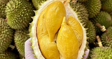 4 tháng đầu năm, sầu riêng dẫn đầu xuất khẩu rau quả Việt Nam