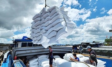 Gạo Việt thêm cơ hội tại thị trường Đức