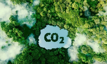 Thị trường carbon toàn cầu bước vào cuộc đua chất lượng tín chỉ