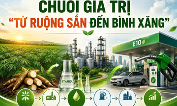 Infographic | Chuỗi giá trị 'Từ ruộng sắn đến bình xăng'