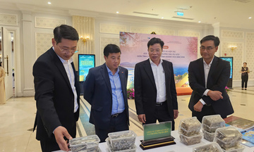 Lâm Đồng và Khánh Hòa liên kết xúc tiến đầu tư