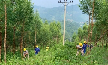 Giữ an toàn lưới điện từ ý thức, trách nhiệm cộng đồng