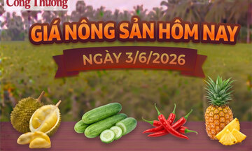 Giá nông sản hôm nay, ngày 3/6: Ớt tăng giá từ 4.000 - 10.000 đồng/kg