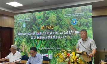 Cần đẩy nhanh giao đất, giao rừng để tránh ‘rừng không chủ’