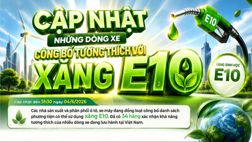 Infographic | Cập nhật mới nhất công bố những dòng xe tương thích xăng E10