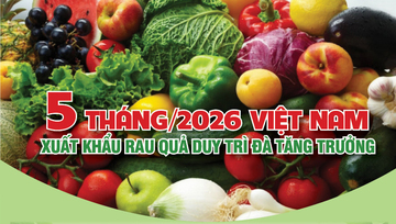 Infographic | 5 tháng/2026, xuất khẩu rau quả duy trì đà tăng trưởng