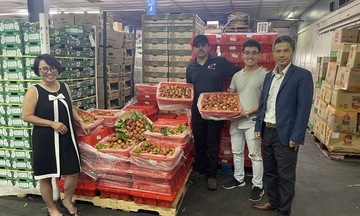 Vải thiều tươi Việt Nam tiếp tục chinh phục người tiêu dùng Hoa Kỳ
