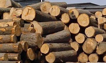 Kim ngạch xuất khẩu gỗ tăng 4,3% vượt mốc 6 tỷ USD