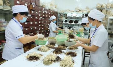 Gỡ điểm nghẽn bảo hiểm y tế để y học cổ truyền phát huy tiềm năng