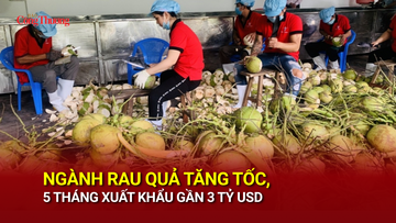 Ngành rau quả tăng tốc, 5 tháng xuất khẩu gần 3 tỷ USD