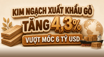 Infographic | Xuất khẩu gỗ và sản phẩm gỗ đạt 6,2 tỷ USD đến giữa tháng 5/2026