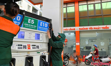 Đề nghị 3 hãng xe xác minh khả năng tương thích với xăng E10