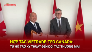 Hợp tác Vietrade-TFO Canada: Từ hỗ trợ kỹ thuật đến đối tác thương mại