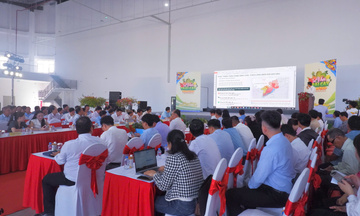 Đồng Tháp định hướng nâng tầm chuỗi giá trị trái cây chủ lực