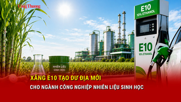  Xăng E10 tạo dư địa mới cho ngành công nghiệp nhiên liệu sinh học