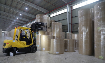 Công nghệ sinh học: Động lực xanh hóa ngành công nghiệp giấy