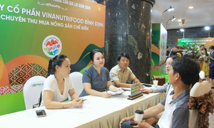 Gia Lai: 'Bài kiểm tra' thị trường đưa nông sản chinh phục kệ hàng hiện đại