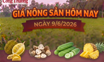 Giá nông sản hôm nay, ngày 9/6: Sầu Thái ở mức cao