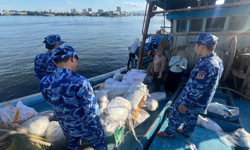 Vùng Cảnh sát biển 2 đấu tranh thành công nhiều vụ vi phạm trên biển