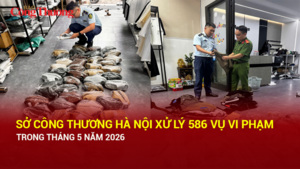 Sở Công Thương Hà Nội xử lý 586 vụ vi phạm trong tháng 5 năm 2026