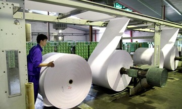 Giao các chỉ tiêu đánh giá Công ty mẹ - Tổng công ty Giấy Việt Nam